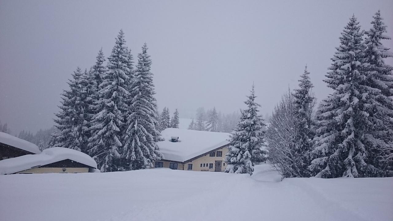 Appartmenthaus Hochkoenig Mühlbach am Hochkönig Exteriér fotografie