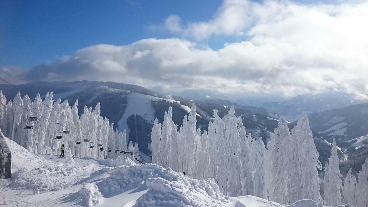 Appartmenthaus Hochkoenig Mühlbach am Hochkönig Exteriér fotografie
